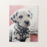 Dalmatian Heart Nose Jigsaw Puzzle<br><div class="desc">You have my heart! | Avanti,  the Global Humour Brand™ has been entertaining the world with its Feel Good Funny greeting cards for over 40 years. Our characters live life to the fullest and celebrate the humour in everyday life.</div>