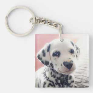 Dalmatian Heart Nose Key Ring