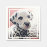 Dalmatian Heart Nose