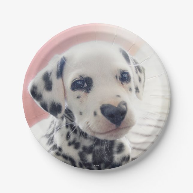 Dalmatian Heart Nose Paper Plate (Front)