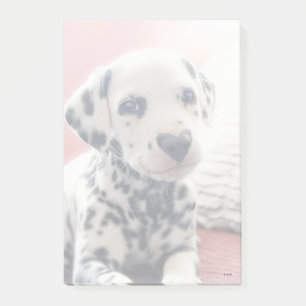 Dalmatian Heart Nose Post-it Notes