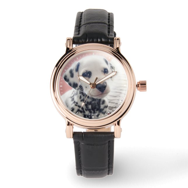 Dalmatian Heart Nose Watch (Front)