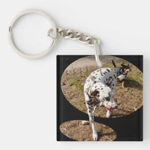 Dalmatian Illusion Window Art, Key Ring