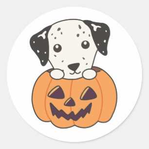 Dalmatian In Pumpkin Sweet Dogs Happy Halloween Cl Classic Round Sticker