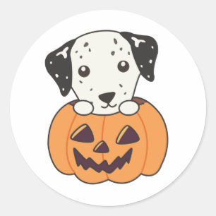 Dalmatian In Pumpkin Sweet Dogs Happy Halloween Classic Round Sticker