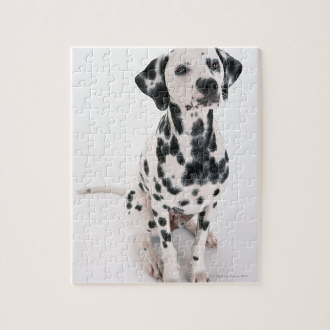 Dalmatian Jigsaw Puzzle (Vertical)