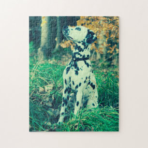 Dalmatian Jigsaw Puzzle