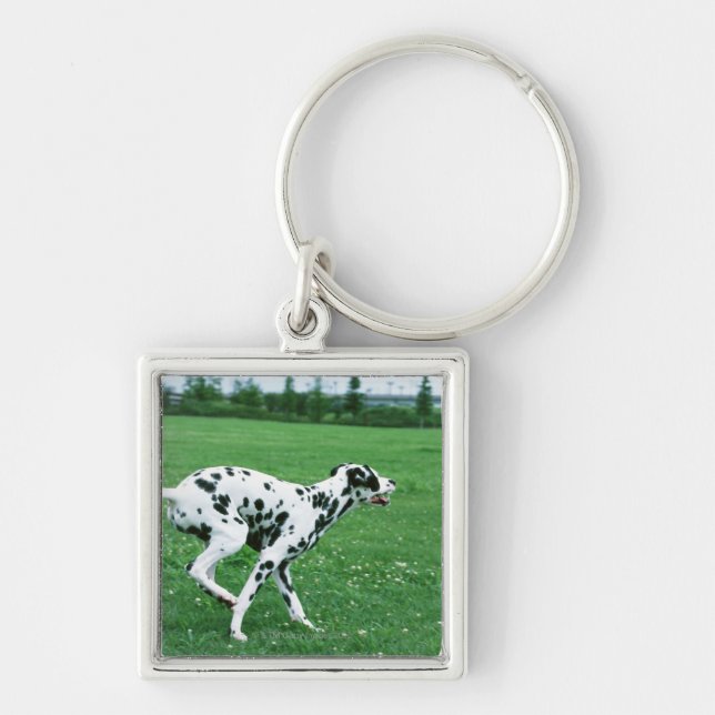 Dalmatian Key Ring (Front)
