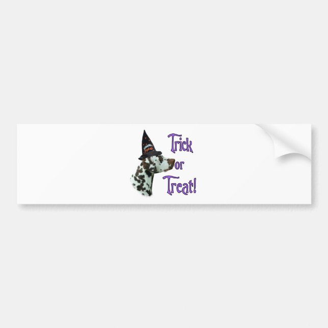 Dalmatian (liver) Trick Bumper Sticker (Front)