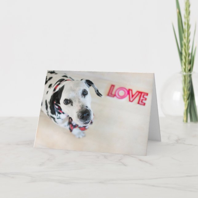 Dalmatian Love Valentines Card (Front)