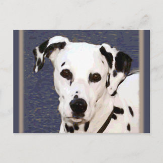 Dalmatian "Mayday" ~ Postcard