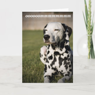 Dalmatian Meditation Card