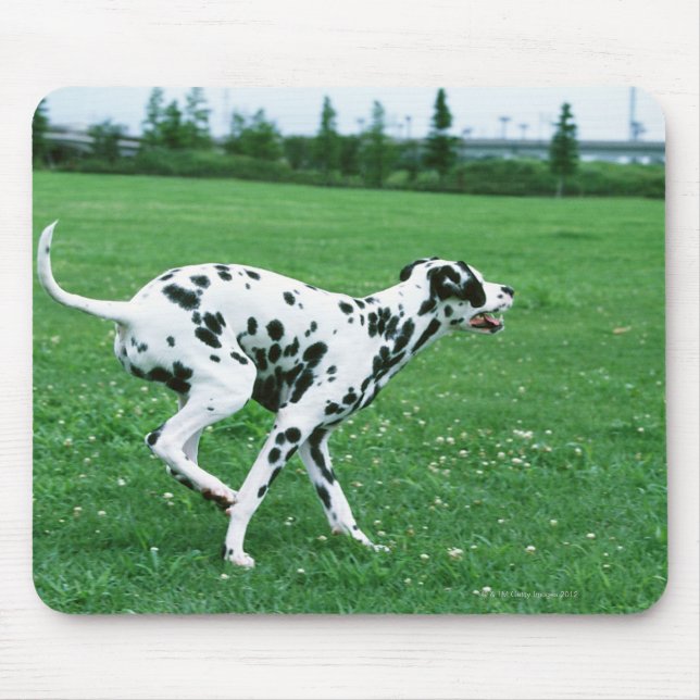 Dalmatian Mouse Pad (Front)