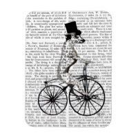 Dalmatian on Bicycle 2