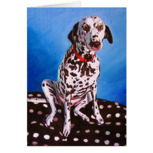 Dalmatian on spotty cushion 2011