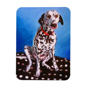 Dalmatian on spotty cushion 2011 magnet