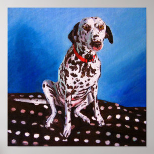 Dalmatian on spotty cushion 2011 poster