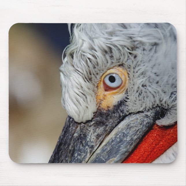 Dalmatian Pelican Mouse Pad (Front)