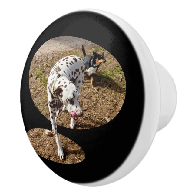 Dalmatian Popout Art, Ceramic Knob (Right)