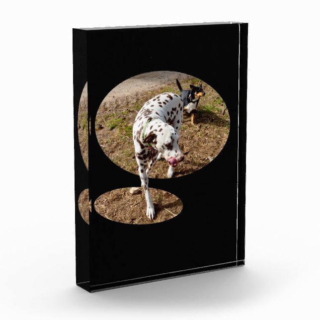 Dalmatian Popout Art, Photo Block (Left)