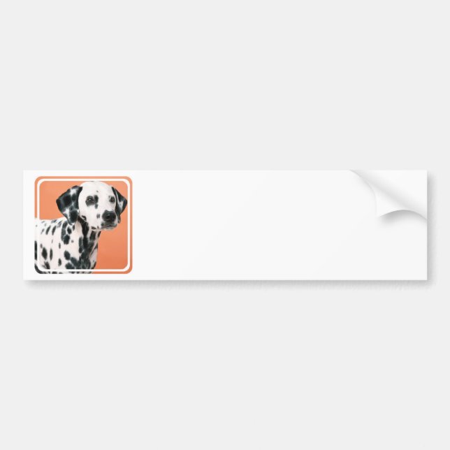 Dalmatian Puppies Bumper Stickers (Front)