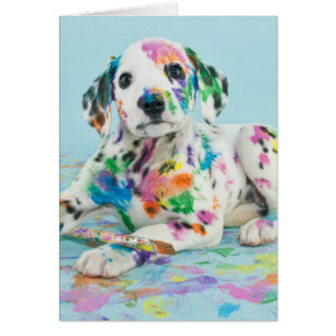 Dalmatian Puppy