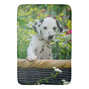 Dalmatian puppy, a cute dog bath mat