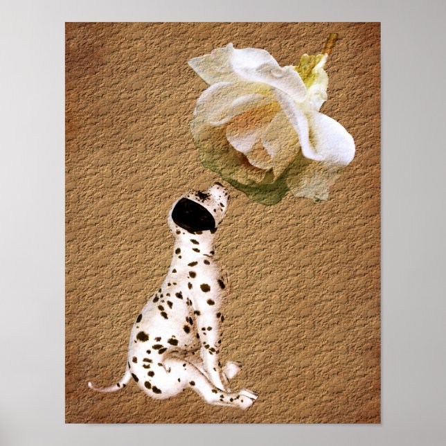 Dalmatian Puppy And Rose Aged Paper Art  Poster (Front)