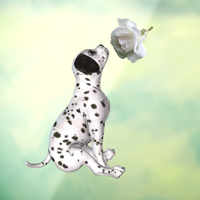 Dalmatian Puppy And White Rose  (Sheet 3)