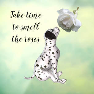 Dalmatian Puppy And White Rose Inspirational