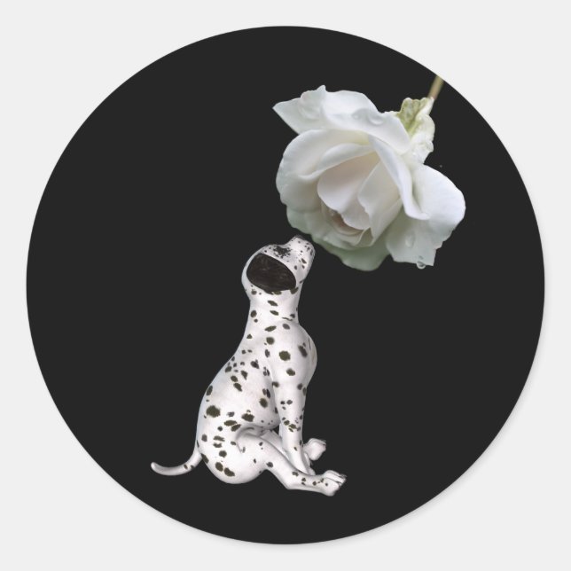 Dalmatian Puppy And White Rose Sticker (Front)