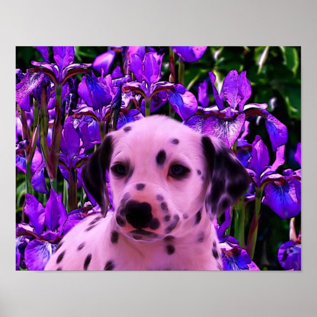 Dalmatian Puppy Iris Flowers Dog Art Poster (Front)