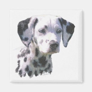 Dalmatian Puppy Magnet