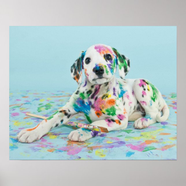 Dalmatian Puppy Poster (Front)