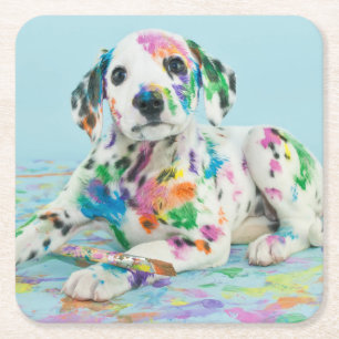 Dalmatian Puppy Square Paper Coaster
