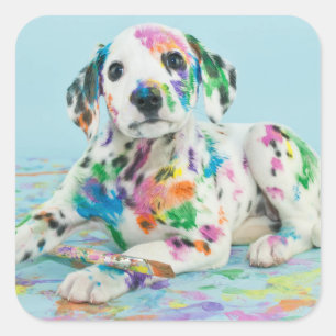 Dalmatian Puppy Square Sticker