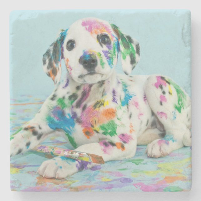 Dalmatian Puppy Stone Coaster (Front)