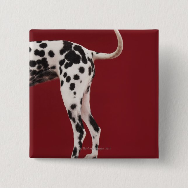 Dalmatian Rear 15 Cm Square Badge (Front)