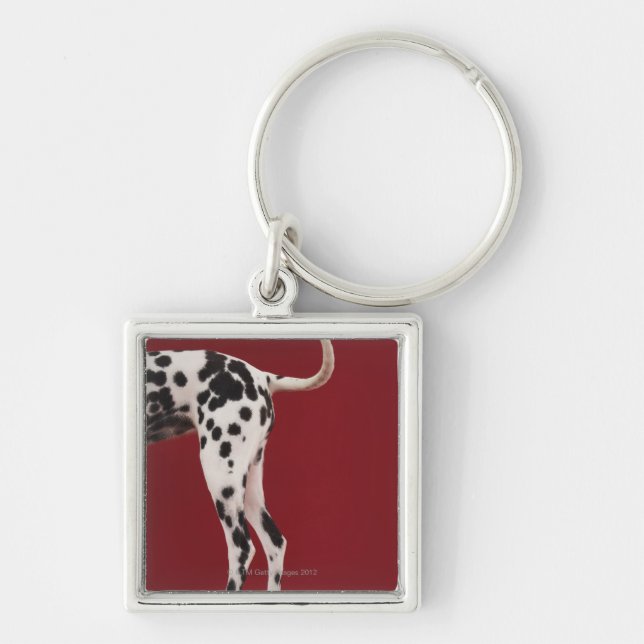 Dalmatian Rear Key Ring (Front)
