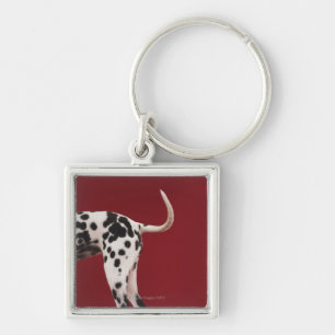 Dalmatian Rear Key Ring