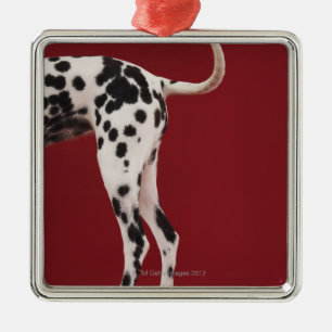 Dalmatian Rear Metal Tree Decoration