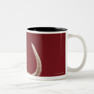 Dalmatian Rear Two-Tone Coffee Mug