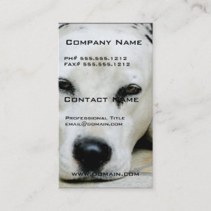 Dalmatian Resting Business Cards