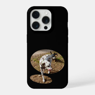 Dalmatian Stepping Out Window Frame, iPhone 15 Pro Case