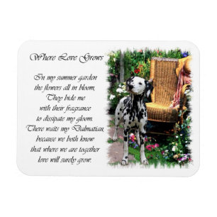 Dalmatian Summer Garden Magnet