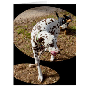 Dalmatian Window Art,