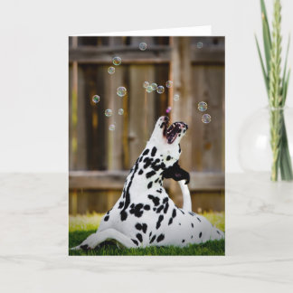 Dalmatian with bubbles card