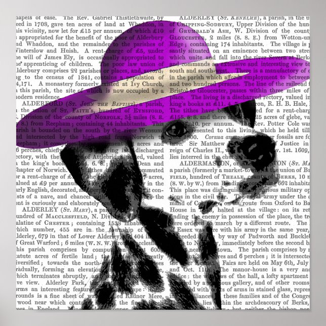 Dalmatian With Purple Wide Brimmed Hat Poster (Front)