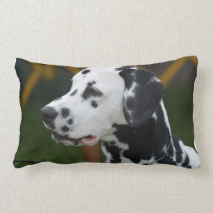 Dalmatian with Spots Lumbar Cushion