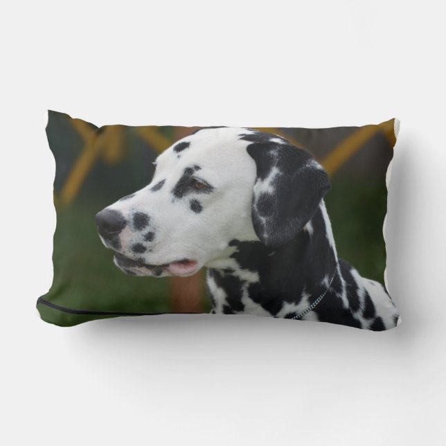 Dalmatian with Spots Lumbar Cushion (Front)